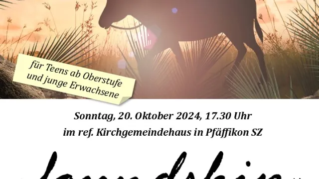241020_foundship_flyer (Foto: Daniel Lippuner) 241020_foundship_flyer (Foto: Daniel Lippuner)