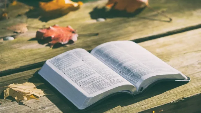 bible-1868070_1920 (Foto: Pixabay) bible-1868070_1920 (Foto: Pixabay)