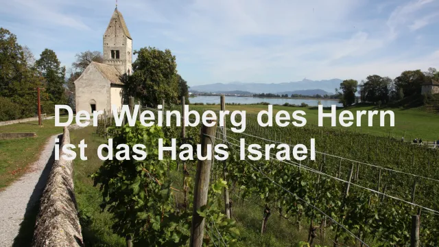 xWeinberg (Foto: Klaus Henning Müller) xWeinberg (Foto: Klaus Henning Müller)
