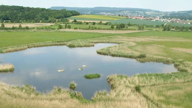 Bildvorschlag Neeracherried Titelseite (Foto: Elisabeth Härter) Bildvorschlag Neeracherried Titelseite (Foto: Elisabeth Härter)
