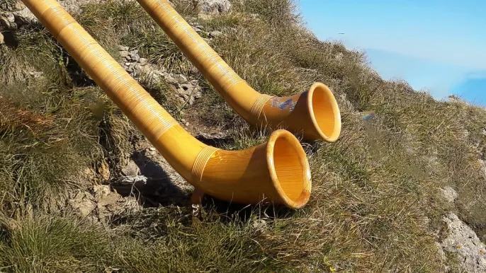 Alphorn (Foto: Elisabeth Härter) Alphorn (Foto: Elisabeth Härter)