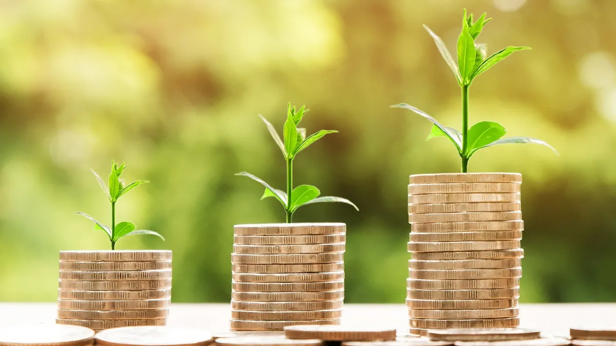 money-2696219_1920 (Foto: Tanja Brazerol) money-2696219_1920 (Foto: Tanja Brazerol)